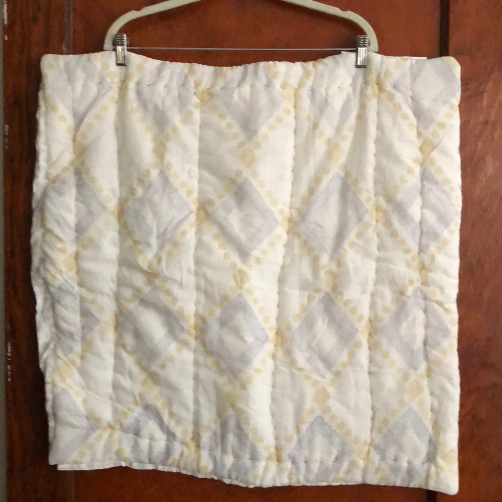 Set of 2 Euro shams